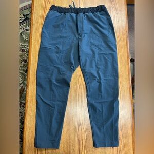 Lululemon Athletica Blue Cargo Pants Relaxed Fit
